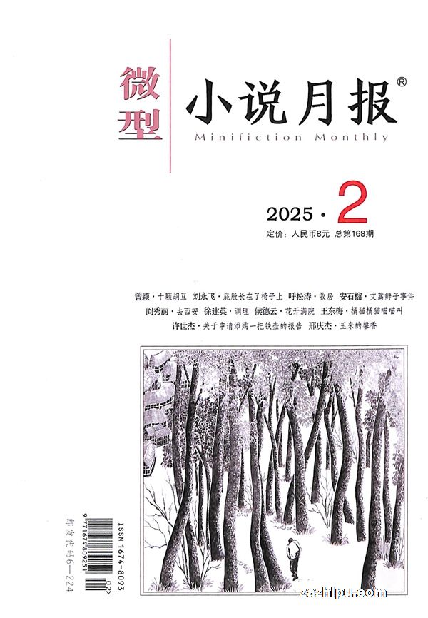 《微型小说月报》2025年第02期