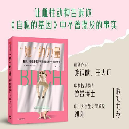 《“她”的力量》露西·库克  中信出版社  2023-09