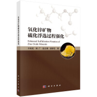 氧化锌矿物硫化浮选过程强化