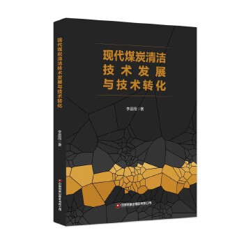  现代煤炭清洁技术发展与技术转化 李晨雨