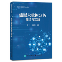 能源大数据分析理论与实践