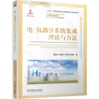 电-氢耦合系统集成理论与方法
