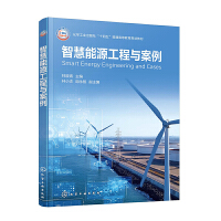 智慧能源工程与案例（林晓青）