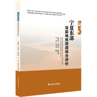 宁夏东部深层地热资源综合评价