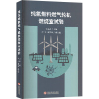 纯氢燃料燃气轮机燃烧室试验