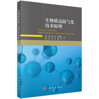 生物质高温气化技术原理