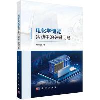 电化学储能实践中的关键问题