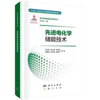 先进电化学储能技术