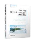 储能系统数字建模、安全运行及经济评估