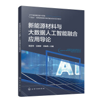 新能源材料与大数据人工智能融合应用导论（陈廷伟）