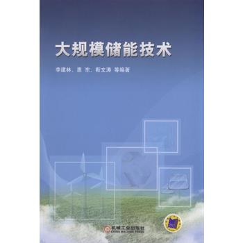 大规模储能技术