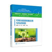 可再生能源规模应用与先进核能