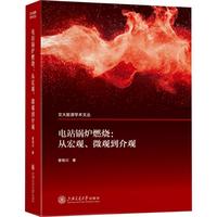 电站锅炉燃烧：从宏观、微观到介观