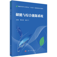 储能与综合能源系统