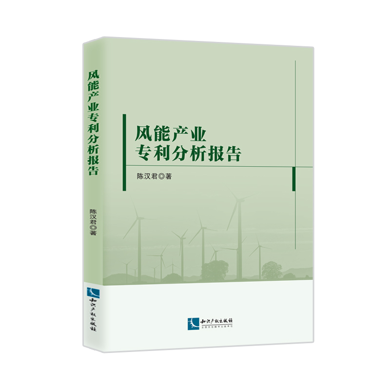 风能产业专利分析报告