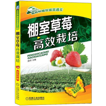 棚室草莓高效栽培