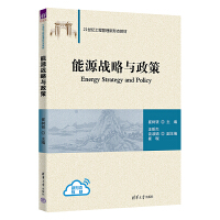 能源战略与政策