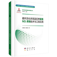循环流化床高温后燃超低NOx燃烧技术与工程应用