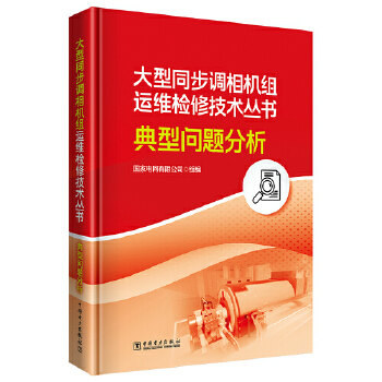  大型同步调相机组运维检修技术丛书 典型问题分析