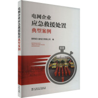电网企业应急救援处置典型案例