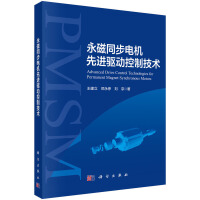 永磁同步电机先进驱动控制技术