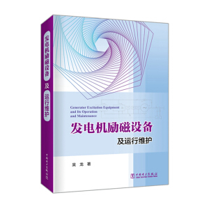 发电机励磁设备及运行维护