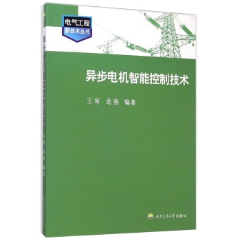 异步电机智能控制技术