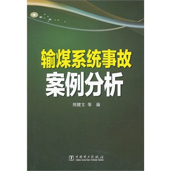 输煤系统事故案例分析