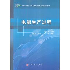 电能生产过程