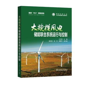 大规模风电储能联合系统运行与控制