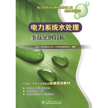 电力系统水处理事故案例分析