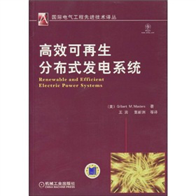 高效可再生分布式发电系统