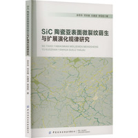 SiC陶瓷亚表面微裂纹萌生与扩展演化规律研究