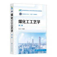 煤化工工艺学（申峻）（第二版）