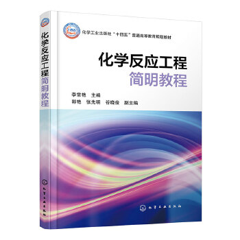  化学反应工程简明教程（李常艳 ）