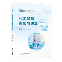 化工基础实验与仿真