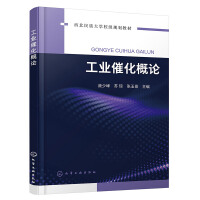 工业催化概论（庞少峰）