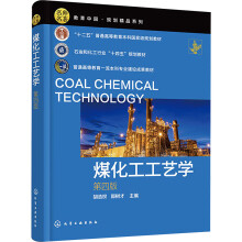 煤化工工艺学（第四版）