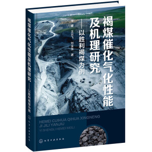 褐煤催化气化性能及机理研究——以胜利褐煤为例