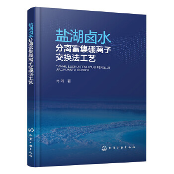 盐湖卤水分离富集硼离子交换法工艺