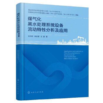 煤气化黑水处理系统设备流动特性分析及应用