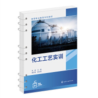 化工工艺实训（李倩）