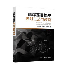 褐煤基活性炭吸附工艺与装备