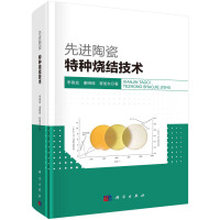 先进陶瓷：特种烧结技术