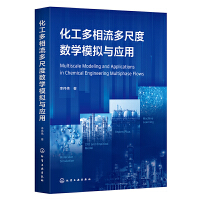 化工多相流多尺度数学模拟与应用