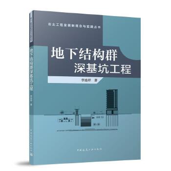  地下结构群深基坑工程集约化设计与应用