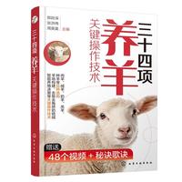 三十四项养羊关键操作技术