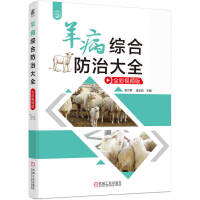 羊病综合防治大全