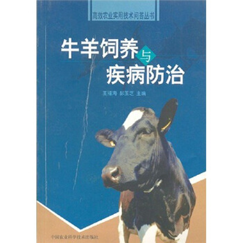 牛羊饲养与疾病防治