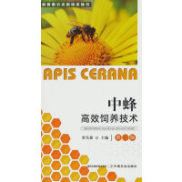 中蜂高效饲养技术